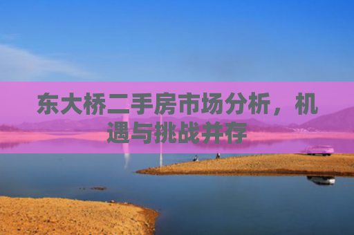 东大桥二手房市场分析，机遇与挑战并存