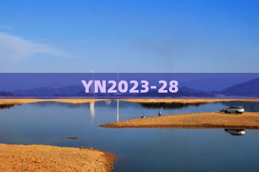 YN2023-28
