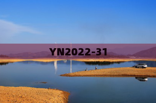 YN2022-31