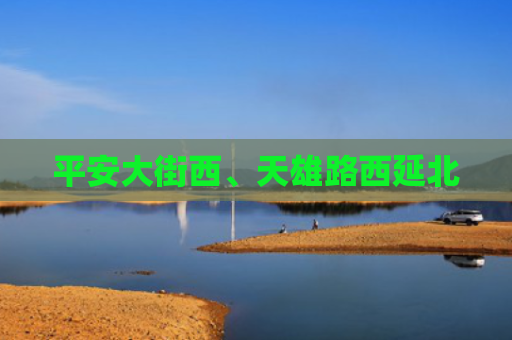 平安大街西、天雄路西延北