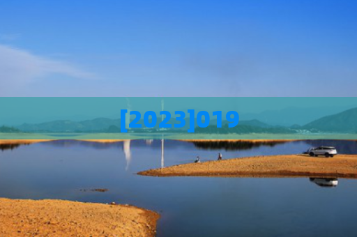 [2023]019