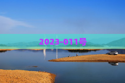 2023-011号