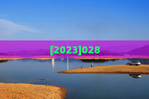 [2023]028