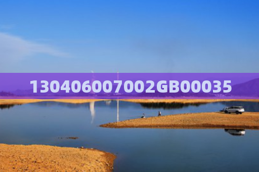 130406007002GB00035