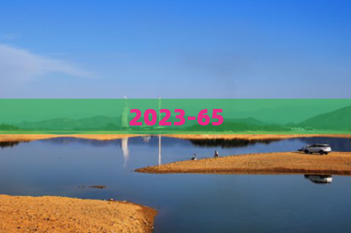 2023-65