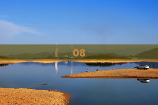 08