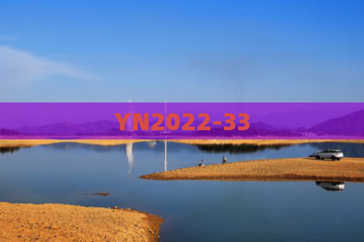 YN2022-33