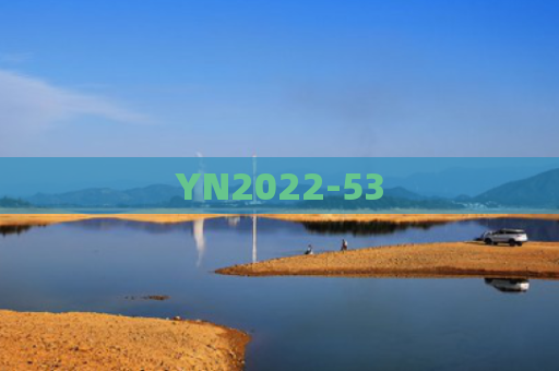 YN2022-53
