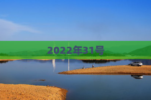 2022年31号