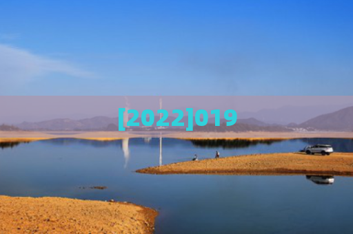 [2022]019