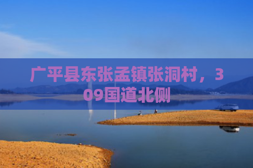 广平县东张孟镇张洞村，309国道北侧