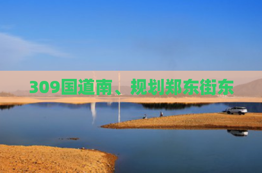 309国道南、规划郑东街东