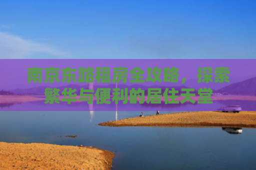 南京东路租房全攻略，探索繁华与便利的居住天堂