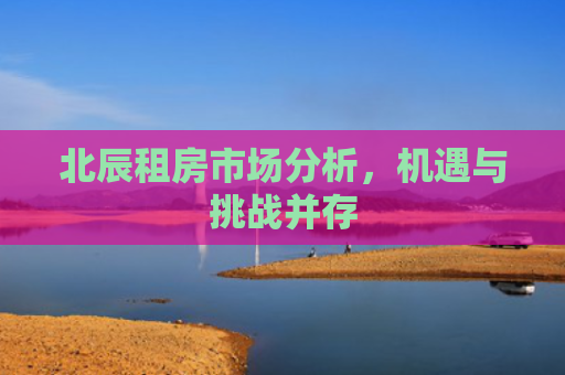 北辰租房市场分析，机遇与挑战并存