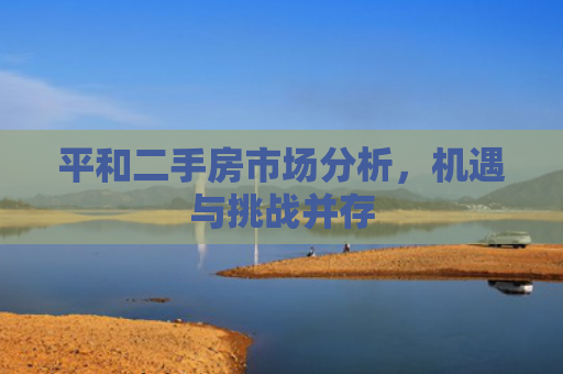 平和二手房市场分析，机遇与挑战并存
