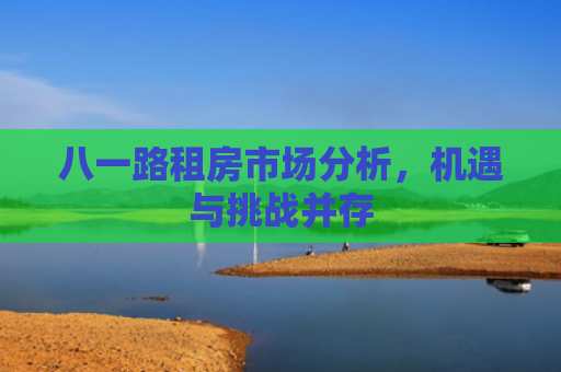 八一路租房市场分析，机遇与挑战并存