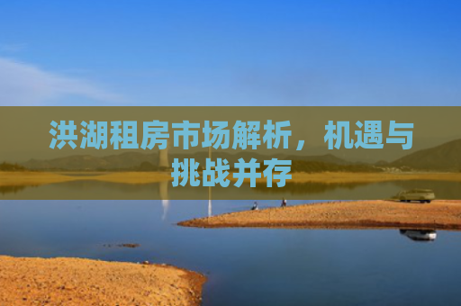洪湖租房市场解析，机遇与挑战并存