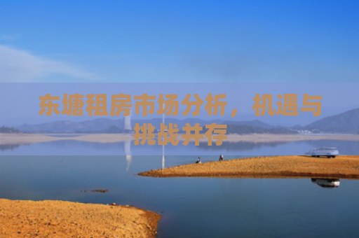 东塘租房市场分析，机遇与挑战并存