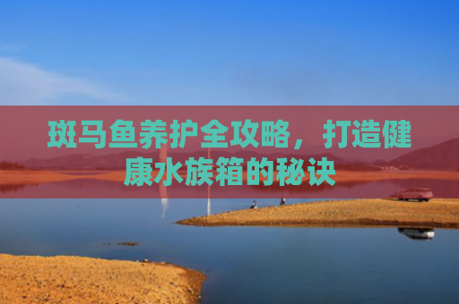 斑马鱼养护全攻略，打造健康水族箱的秘诀