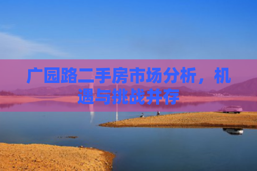 广园路二手房市场分析，机遇与挑战并存