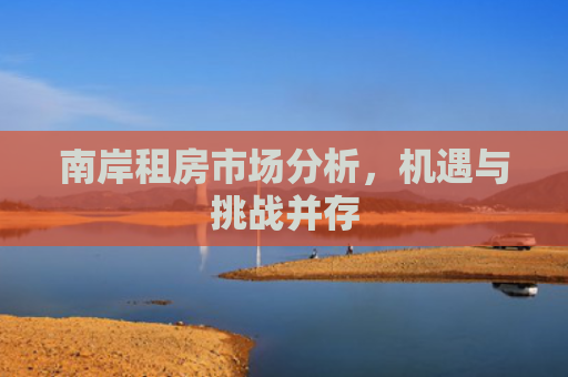 南岸租房市场分析，机遇与挑战并存