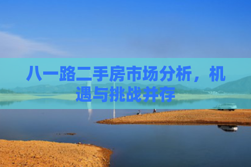 八一路二手房市场分析，机遇与挑战并存