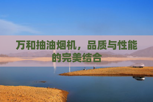 万和抽油烟机，品质与性能的完美结合