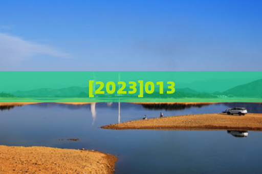 [2023]013