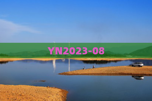 YN2023-08