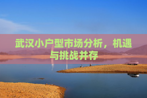 武汉小户型市场分析，机遇与挑战并存