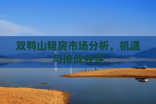 双鸭山租房市场分析，机遇与挑战并存
