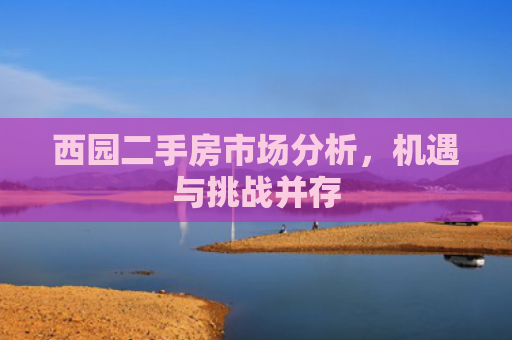 西园二手房市场分析，机遇与挑战并存