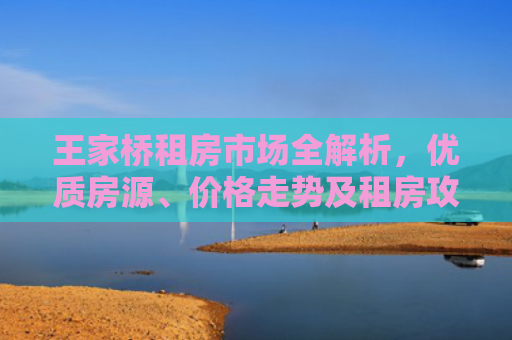 王家桥租房市场全解析，优质房源、价格走势及租房攻略