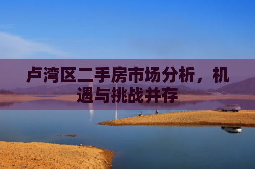 卢湾区二手房市场分析，机遇与挑战并存