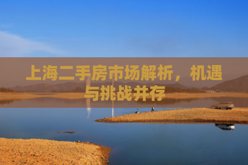 上海二手房市场解析，机遇与挑战并存