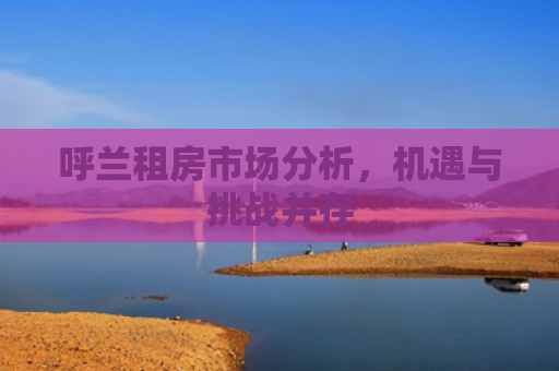 呼兰租房市场分析，机遇与挑战并存