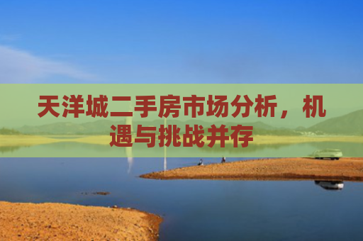 天洋城二手房市场分析，机遇与挑战并存