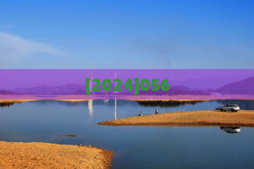 [2024]056