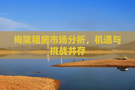 梅陇租房市场分析，机遇与挑战并存