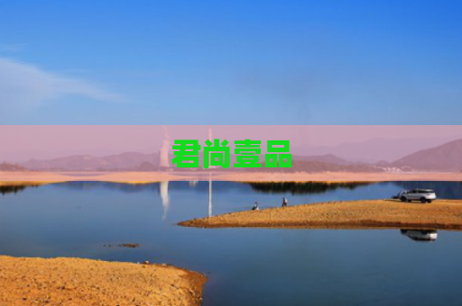 君尚壹品