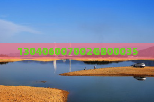 130406007002GB00035