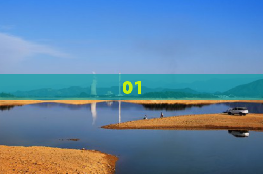 01