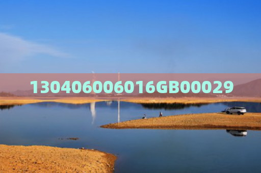 130406006016GB00029