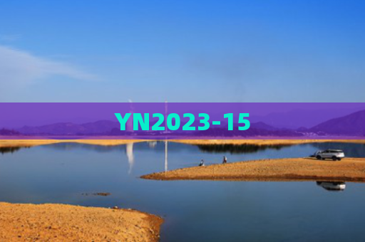 YN2023-15
