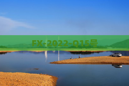 FX-2022-Q15号