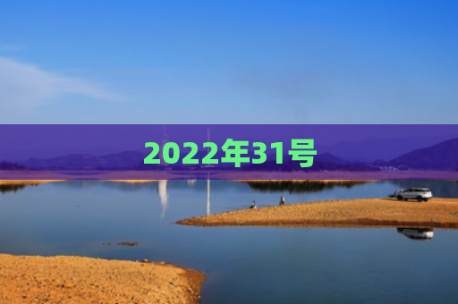 2022年31号