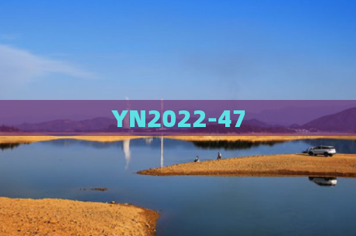 YN2022-47