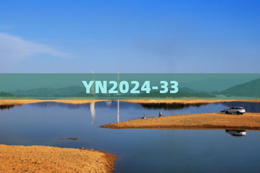 YN2024-33