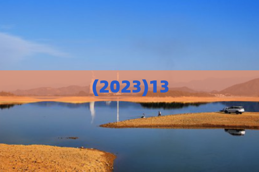 (2023)13