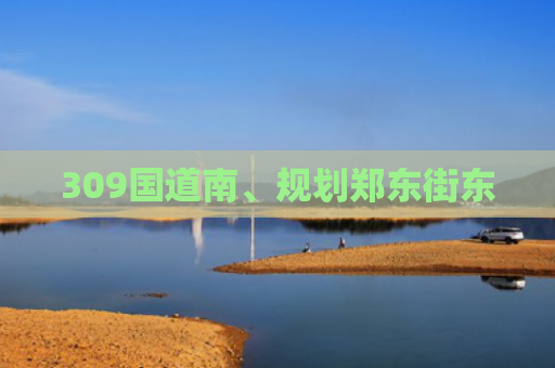 309国道南、规划郑东街东
